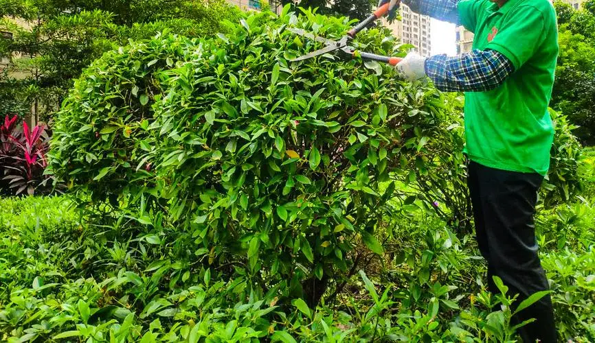 万方绿化工程有限公司