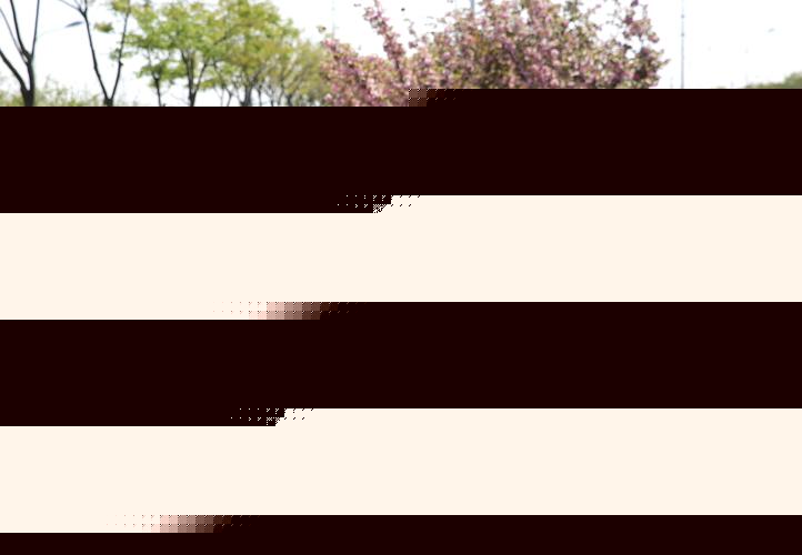 绿化工程人材机各如何合理分配
