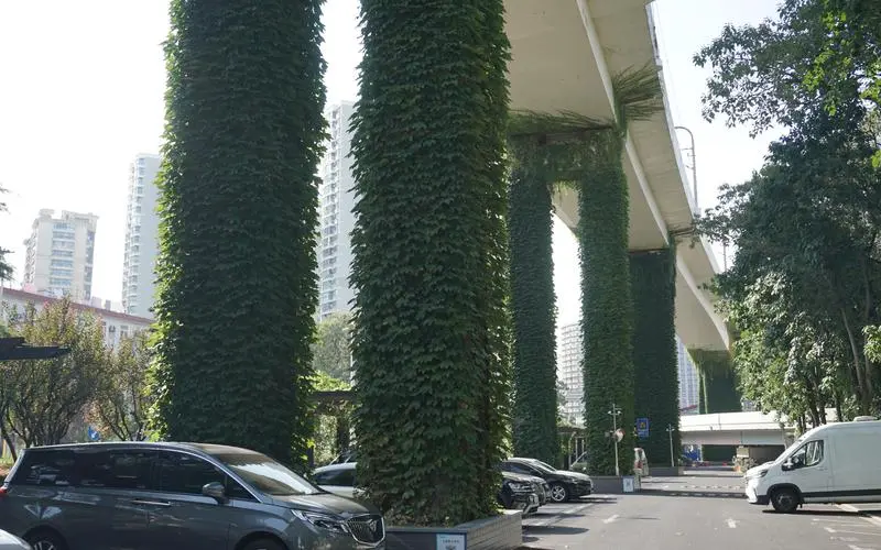 园林建设难再美丽，管理层面需寻求突破！
