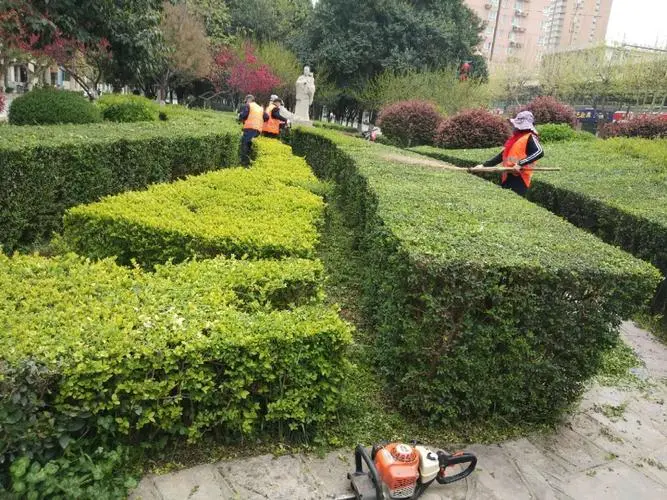 肇庆绿化工程验收规范
